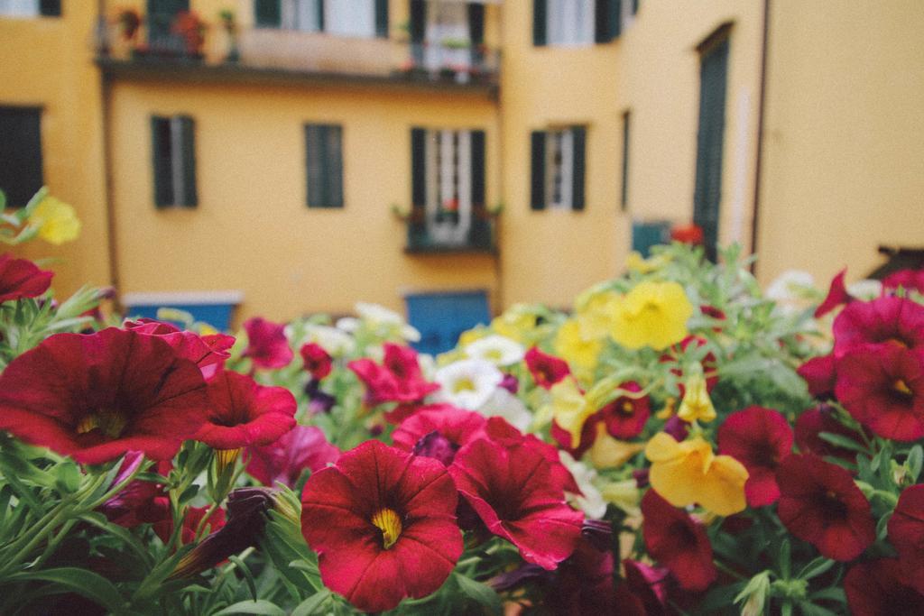 Martindago Bed & Breakfast Florence Luaran gambar